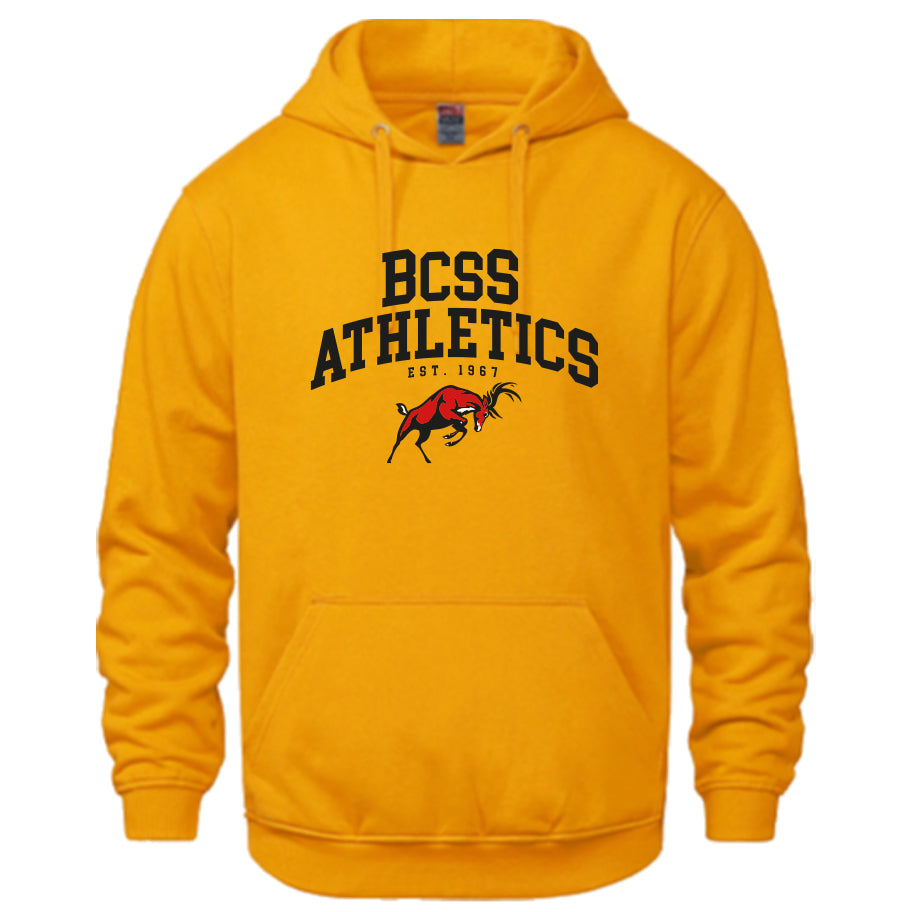 ATHLETICS HOODIE (Choose Sport + Colour | Optional Arm Name)