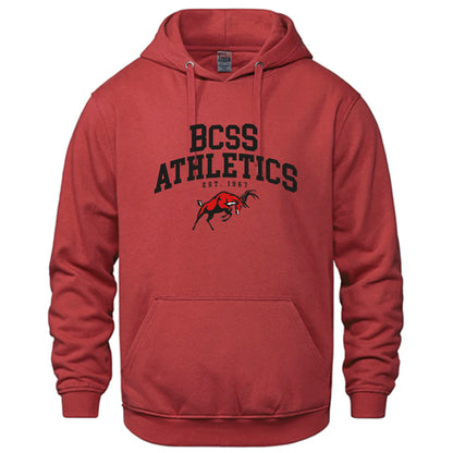 ATHLETICS HOODIE (Choose Sport + Colour | Optional Arm Name)