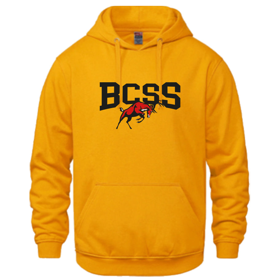 BCSS HOODIE (3 colour options | Optional Arm Name)
