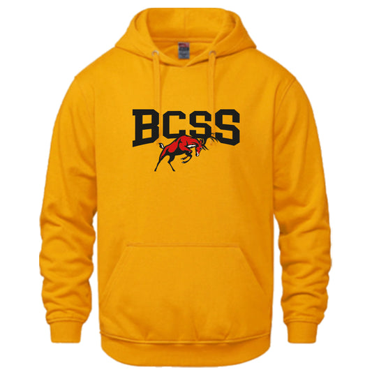 BCSS HOODIE (3 colour options | Optional Arm Name)