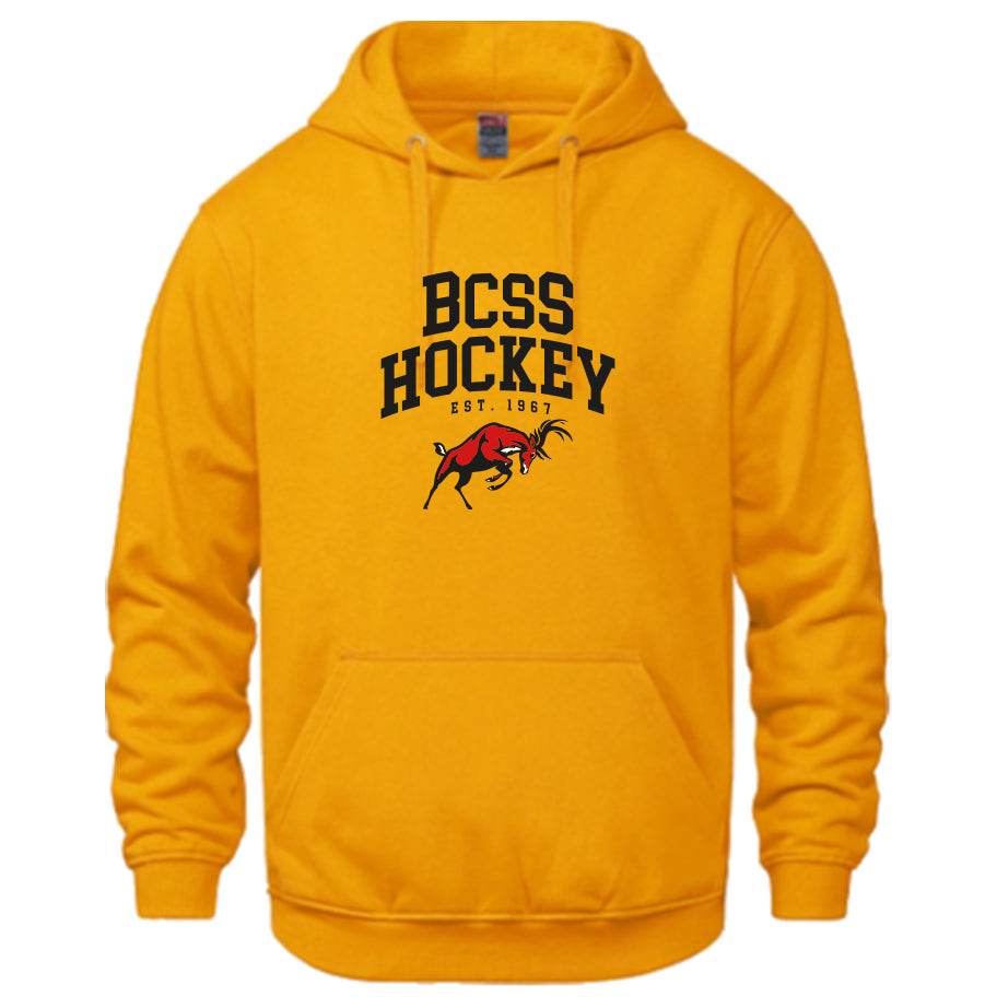 ATHLETICS HOODIE (Choose Sport + Colour | Optional Arm Name)