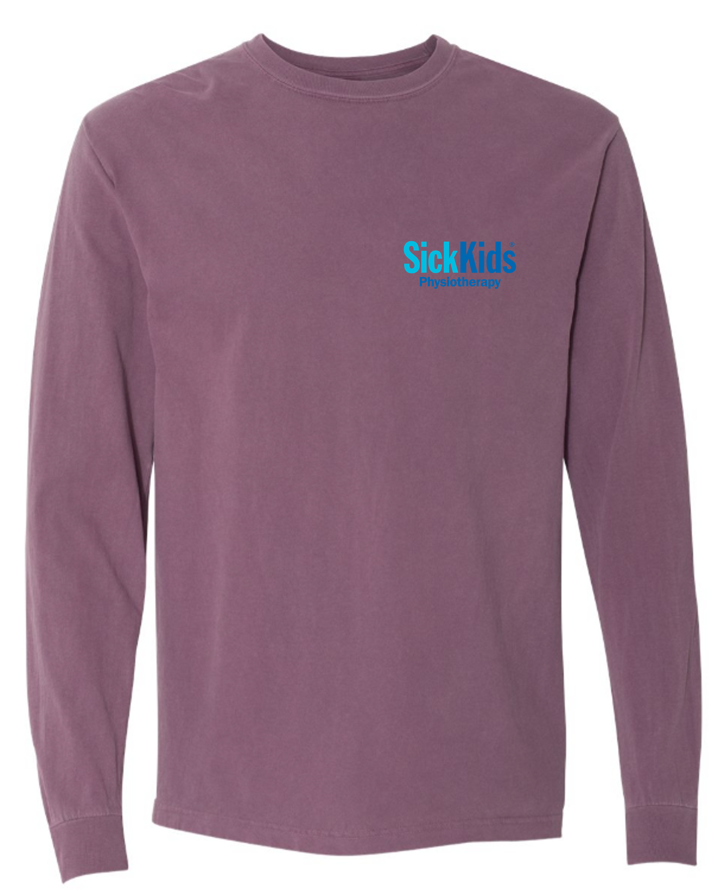 Physiotherapy Heavy-Weight Unisex Long Sleeve Tee