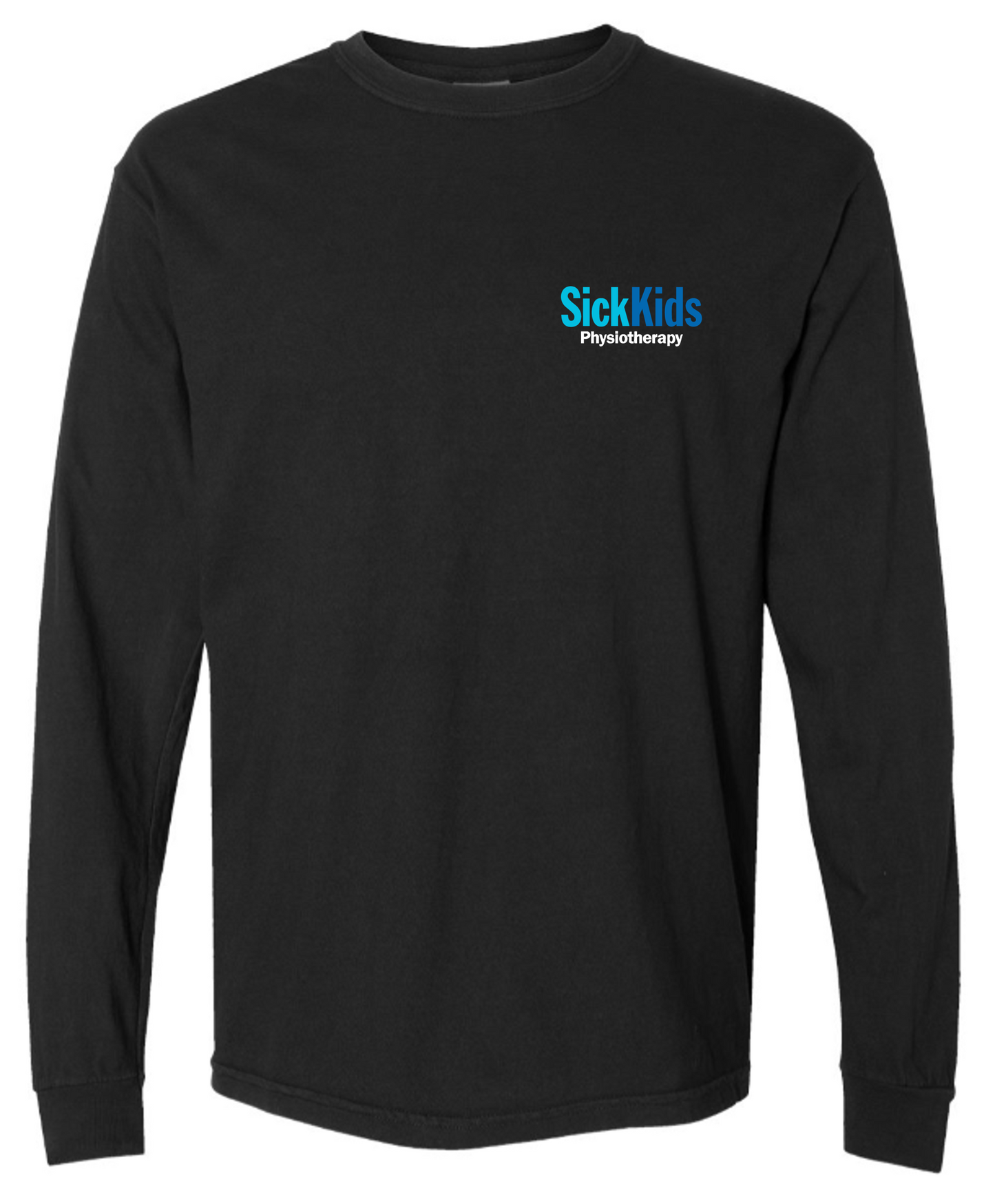 Physiotherapy Heavy-Weight Unisex Long Sleeve Tee