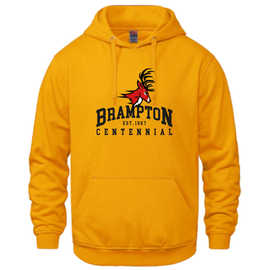 BRAMPTON CENTENNIAL Hoodie (3 colour options | Optional Arm Name)
