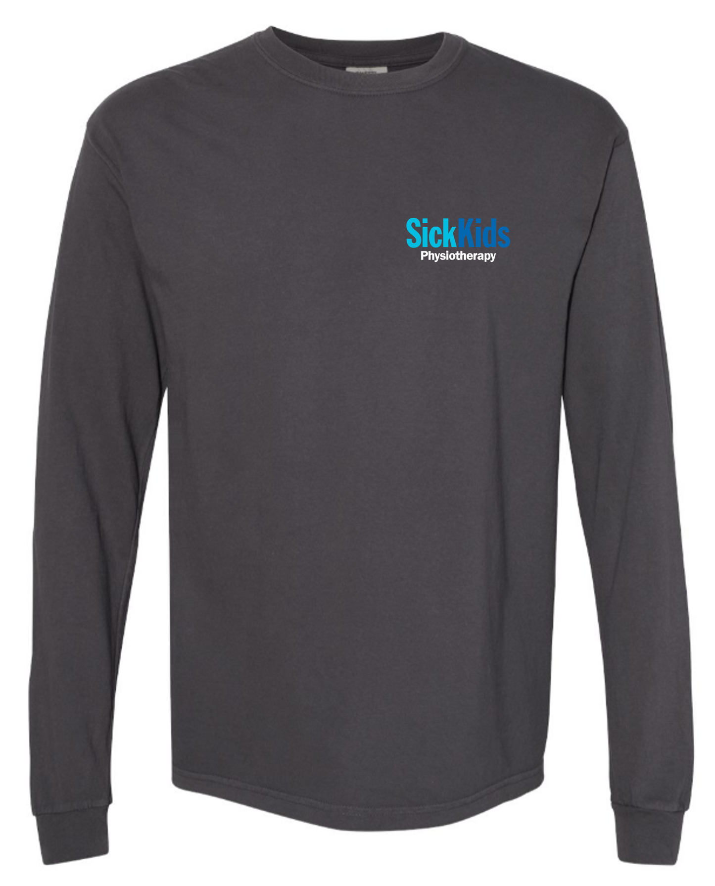Physiotherapy Heavy-Weight Unisex Long Sleeve Tee