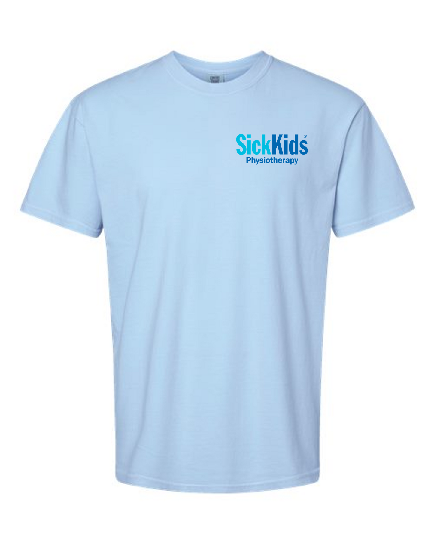 Physiotherapy Heavy-Weight Unisex Short Sleeve Tee